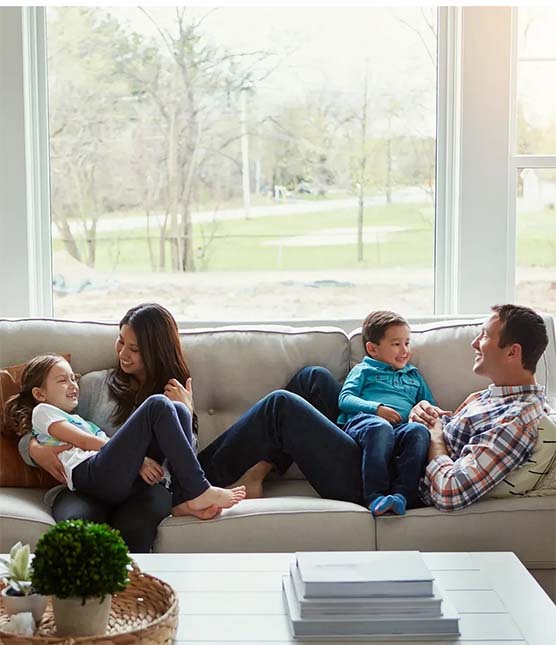 Pest Control Plan is Essential for Your Home