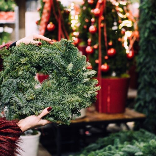 Holiday Hitchhikers: How to Keep Pests Out of Packages and Decorations