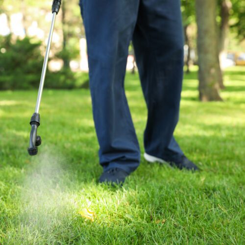 Spring Is Coming: How to Pest-Proof Your Maryland Home Before Insects Become Active