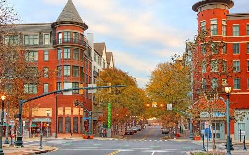 Why Commercial Pest Control Is Essential for Restaurants and Businesses in Maryland